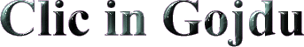 picture2.gif (6991 bytes)